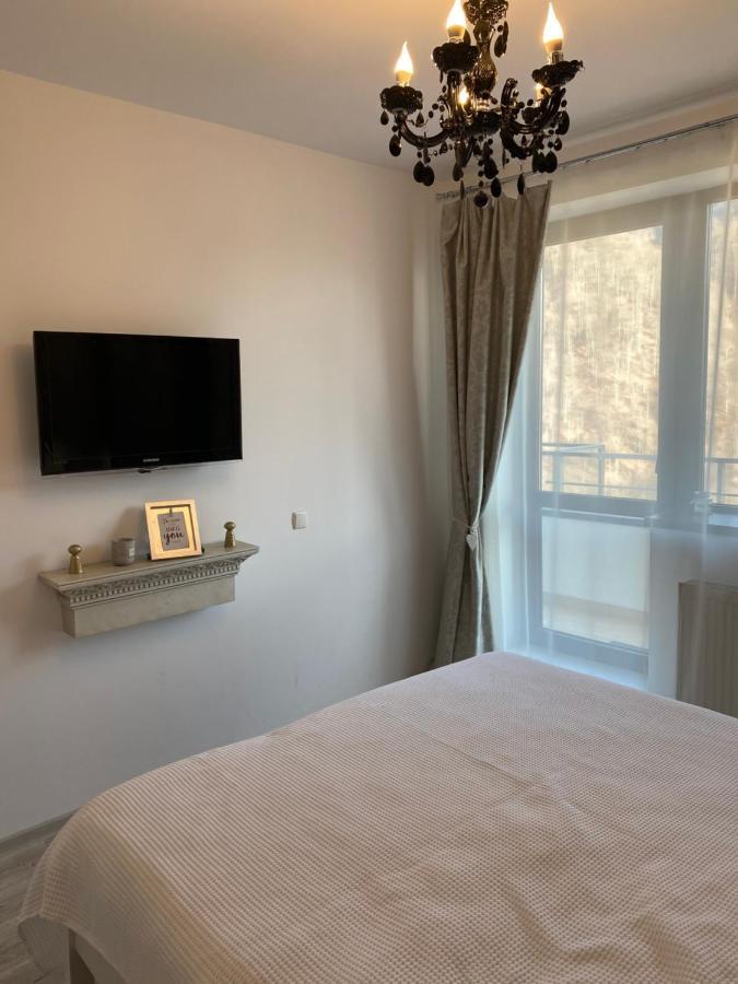 Harmony Apartment Sinaia Luaran gambar
